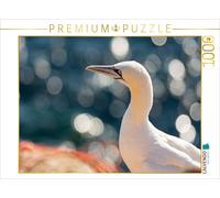 CALVENDO Puzzle Eau Scintillante - Fous de Bassan 1000 Pieces 64 x 48 cm from Katrin Streiparth