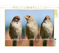 CALVENDO Puzzle Sparrows-hatched from an egg... | 1000 pieces, finished size 25.