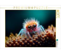 CALVENDO Puzzle Spider with long eyelashes - Funny microorganisms | 1000 pieces,