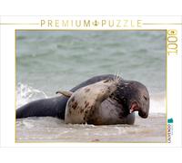 CALVENDO Puzzle Spielende Kegelrobben 1000 Teile Puzzle quer | 1000 Teile Lege-G