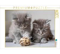 CALVENDO Puzzle Spieltrieb 1000 Teile Puzzle quer | 1000 pieces, finished size 2