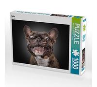 CALVENDO Puzzle Spike 1000 Pieces 64 x 48 cm from Silke Gareis