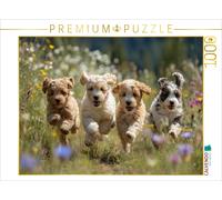 CALVENDO Puzzle Spring means running, jumping, and causing chaos | 1000 pieces,