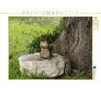 CALVENDO Puzzle Squirl mit Baby 1000 Teile Puzzle quer 1000 Pieces 64 x 48 cm from Conny Krakowski