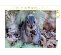 CALVENDO Puzzle squirrel | 1000 pieces, finished size 25.2 × 18.9 in (64 × 48 cm