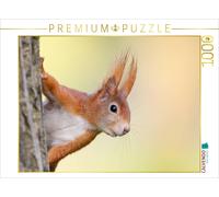 CALVENDO Puzzle squirrel | 1000 pieces, finished size 25.2 × 18.9 in (64 × 48 cm
