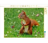 CALVENDO Puzzle Écureuil - imm Encore Mignon 1000 Pieces 64 x 48 cm from Peter Roder