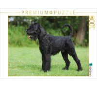CALVENDO Puzzle Standing Giant Schnauzer | 1000 pieces, finished size 25.2 × 18.