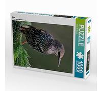 CALVENDO Puzzle Star 1000 Teile Puzzle Hoch 1000 Pieces 48 x 64 cm from Dieter Wilczek