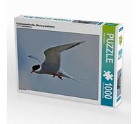 CALVENDO Puzzle Sterne Arctique (Sterna paradisaea) 1000 Pieces 64 x 48 cm from René Schaack