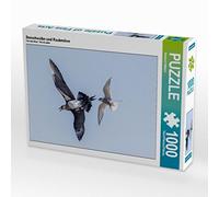 CALVENDO Puzzle Sternes et labbes 1000 Pieces 64 x 48 cm from Reinhold Wittich