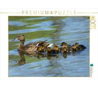 CALVENDO Puzzle Stockente mit Küken 1000 Teile Puzzle quer 1000 Pieces 64 x 48 cm from Kattobello