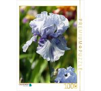 CALVENDO Puzzle Fleurs d'iris oniriques 1000 Pieces 48 x 64 cm from Martina Cross