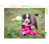 CALVENDO Puzzle Mignon Chiot Berger Australien Jouant avec Une Peluche de Flamant Rose 1000 Pieces 64 x 48 cm from Verena Scholze