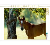 CALVENDO Puzzle Cute Thoroughbred Arabian Foal | 1000 pieces, finished size 25.2