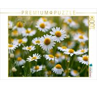 CALVENDO Puzzle Summer needs no words, just light and wind | 1000 pieces, finish