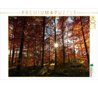 CALVENDO Puzzle Sunbeams in the autumn forest | 1000 pieces, finished size 25.2