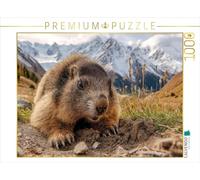 CALVENDO Puzzle sur Le Chemin de la Grotte | 1000 pièces de Taille de la Pose 64 x 48 cm Puzzle Photo pour des Heures heureuses