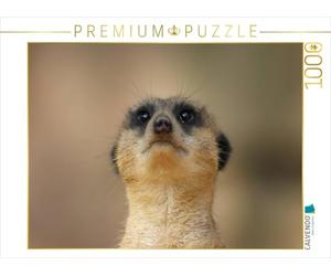 CALVENDO Puzzle Suricate - Ensemble, Nous Sommes forts/CH Version 1000 Pièces Taille de la Lege 64x48cm Photo Puzzle Image de Peter Hebgen