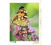CALVENDO Puzzle Papillon du Chardon Peint sur Un Lilas d'été 1000 Pieces 48 x 64 cm from Samashy