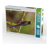 CALVENDO Puzzle Sylphide du Ciel (Aglaiocercus kingii mocoa) 1000 Pieces 48 x 64 cm from Armin Brockner