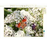 CALVENDO Puzzle Tagpfauenauge Auf weißen Blüten 1000 Teile Puzzle quer 1000 Pieces 64 x 48 cm from Gisela Kruse