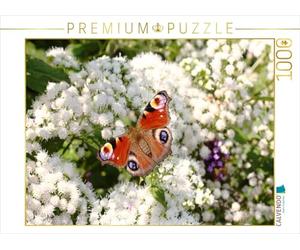CALVENDO Puzzle Tagpfauenauge Auf weißen Blüten 1000 Teile Puzzle quer 1000 Pieces 64 x 48 cm from Gisela Kruse