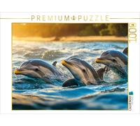 CALVENDO Puzzle Take a look at this sunset | 1000 pieces, finished size 25.2 × 1