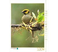 CALVENDO Puzzle Gold-throated Tanager (Tangara lunigera) | 1000 pieces, finished