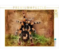 CALVENDO Puzzle Tarantula | 1000 pieces, finished size 25.2 × 18.9 in (64 × 48 c