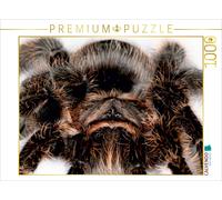 CALVENDO Puzzle Tarantula | 1000 pieces, finished size 25.2 × 18.9 in (64 × 48 c