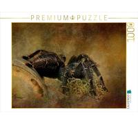 CALVENDO Puzzle Tarentule 1000 Pieces 64 x 48 cm from Heike Hultsch