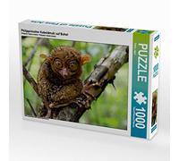 CALVENDO Puzzle Tarsier des Philippines sur Bohol 1000 Pieces 64 x 48 cm from Henry Jager