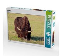CALVENDO Puzzle Taureau de yack 1000 Pieces 64 x 48 cm from Mico10