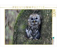 CALVENDO Puzzle Waldkauz | 1000 Teile Lege-Größe 64 × 48 cm Foto-Puzzle für glüc