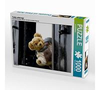 CALVENDO Puzzle Teddy unterwegs 1000 Teile Puzzle quer 1000 Pieces 64 x 48 cm from SchnelleWelten