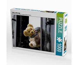 CALVENDO Puzzle Teddy unterwegs 1000 Teile Puzzle quer 1000 Pieces 64 x 48 cm from SchnelleWelten