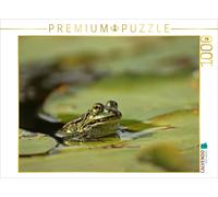 CALVENDO Puzzle Teichfrosch (Pelophylax esculentus) mit Blattlaus auf der Nase z