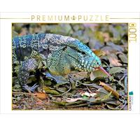 CALVENDO Puzzle Teju Echse | 1000 pieces, finished size 25.2 × 18.9 in (64 × 48