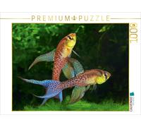 CALVENDO Puzzle Terranatos dolichopterus - VENEZUELA 1000 Teile Puzzle quer | 1
