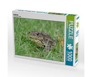 CALVENDO Puzzle Terre de 1000 pièces Taille de la Pose 64 x 48 cm Photo Puzzle Image de Reinhard Rickert