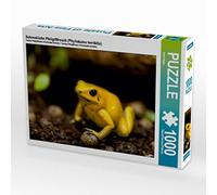 CALVENDO Puzzle Terrible Grenouille de Terreur (Phyllobates terribilis) 1000 Pieces 64 x 48 cm from Axel Hilger