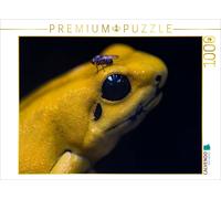 CALVENDO Puzzle Terrible Poison Dart Frog | 1000 pieces, finished size 25.2 × 18
