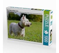 CALVENDO Puzzle Terrier Blanc du West Highland 1000 Pieces 64 x 48 cm from Barbara Mielewczyk