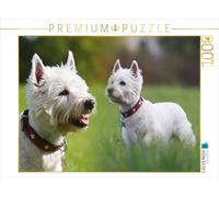 CALVENDO Puzzle Terrier Blanc du West Highland 1000 Pieces 64 x 48 cm from Barbara Mielewczyk