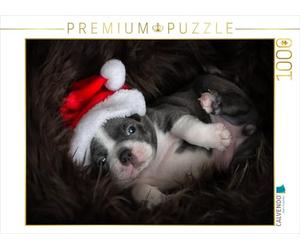 CALVENDO Puzzle Terrier de Boston 1000 Pieces 64 x 48 cm from NiKaFotos