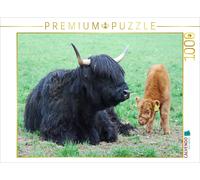 CALVENDO Puzzle That a mother with black fur has a brown calf is not at all unus
