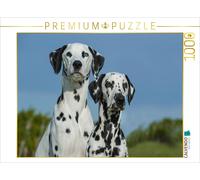 CALVENDO Puzzle The Dalmatian: A Dream Dog | 1000 pieces, finished size 25.2 × 1