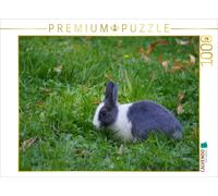 CALVENDO Puzzle The Gray and White Rabbit on Tour | 1000 pieces, finished size 2