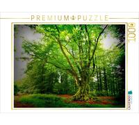 CALVENDO Puzzle The Great Beech Tree (Krombach, North Rhine-Westphalia) | 1000 p